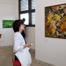 28.8.2020 v Galerii ve Věži ve Vysokém Mýtě (25)